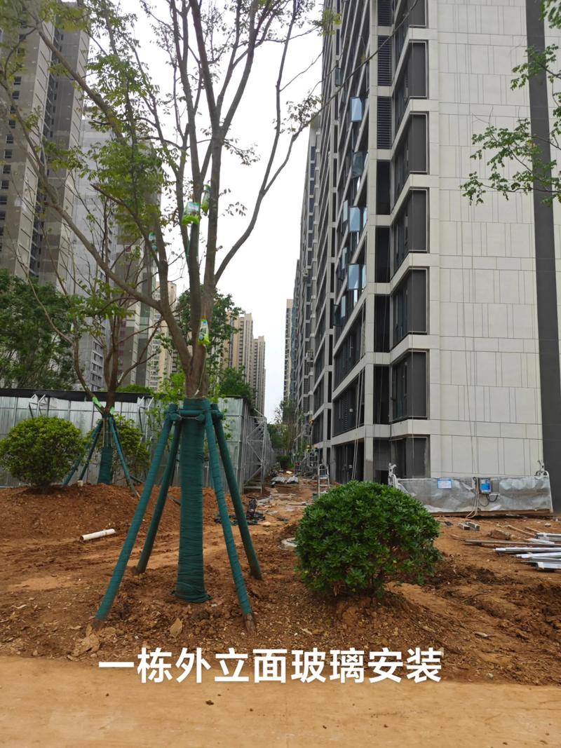 光谷中央公園園林綠化工程施工進(jìn)展順利，打造生態(tài)休閑新地標(biāo)