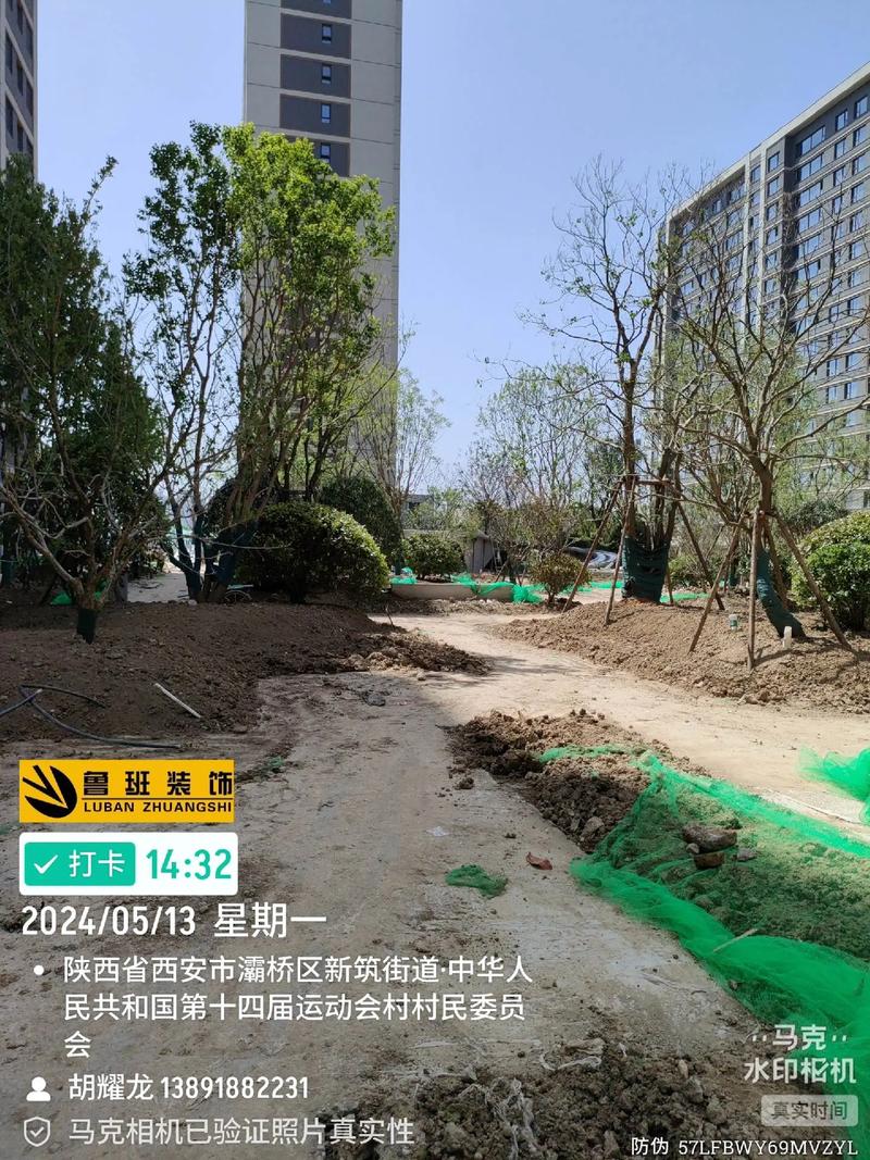 望江城市綠化工程施工現(xiàn)場實拍 精細化管理下的進度與生態(tài)之美